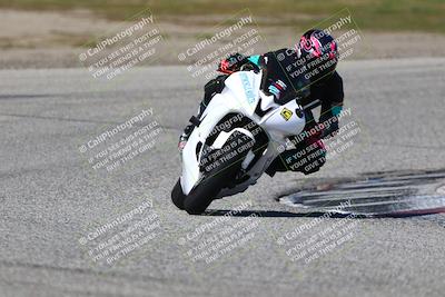 media/Mar-23-2025-TrackDaz (Sun) [[88a7749186]]/C Group/240pm (Cotton Corners)/